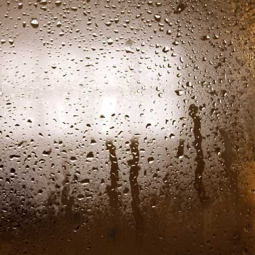 Expertise humidité maison et appartement Expertise humidité de votre bien